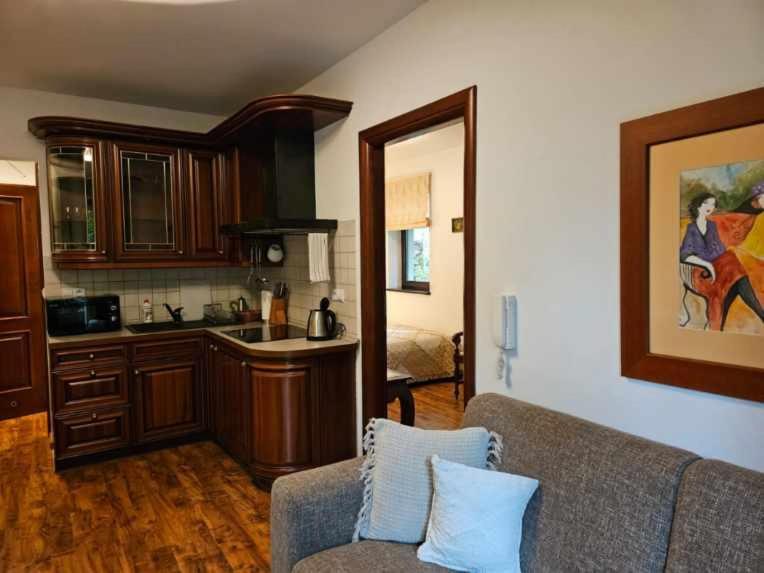 Apart4You Apartamenty Bulwary25 Ζακοπάνε Εξωτερικό φωτογραφία