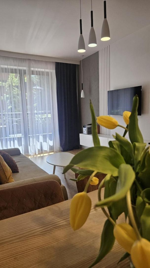 Apart4You Apartamenty Bulwary25 Ζακοπάνε Δωμάτιο φωτογραφία