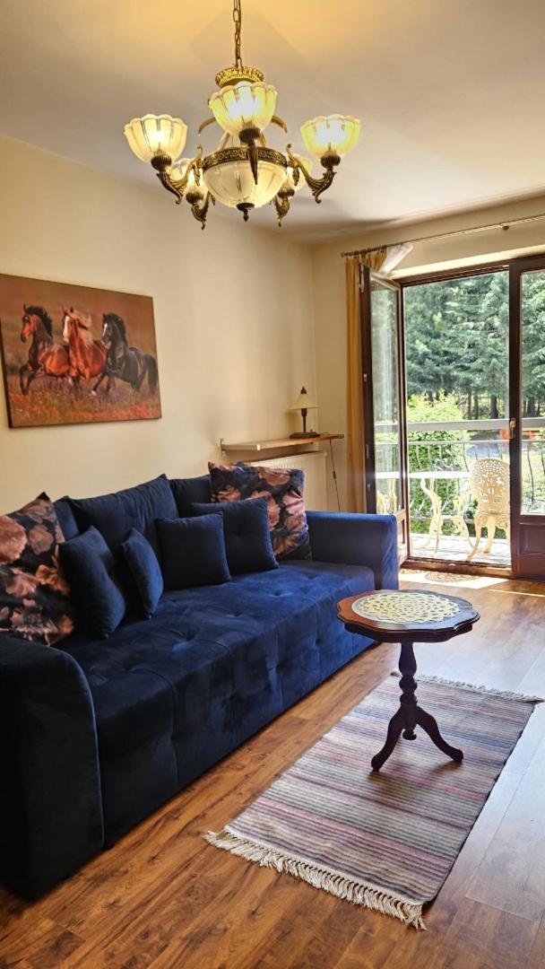 Apart4You Apartamenty Bulwary25 Ζακοπάνε Δωμάτιο φωτογραφία